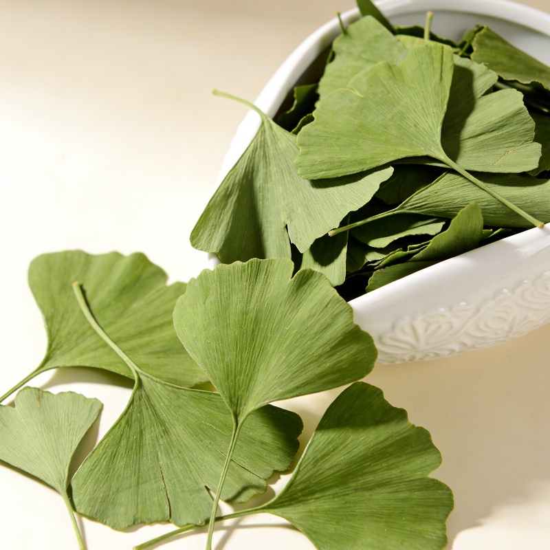 Health & Wellness Events - Quality Ginkgo Biloba Dried Leaves For
