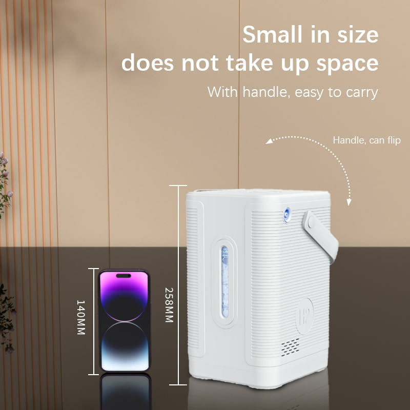 Dropshipping SPE PEM Hydrogen  - Health Wellness Home Care 评论和价格