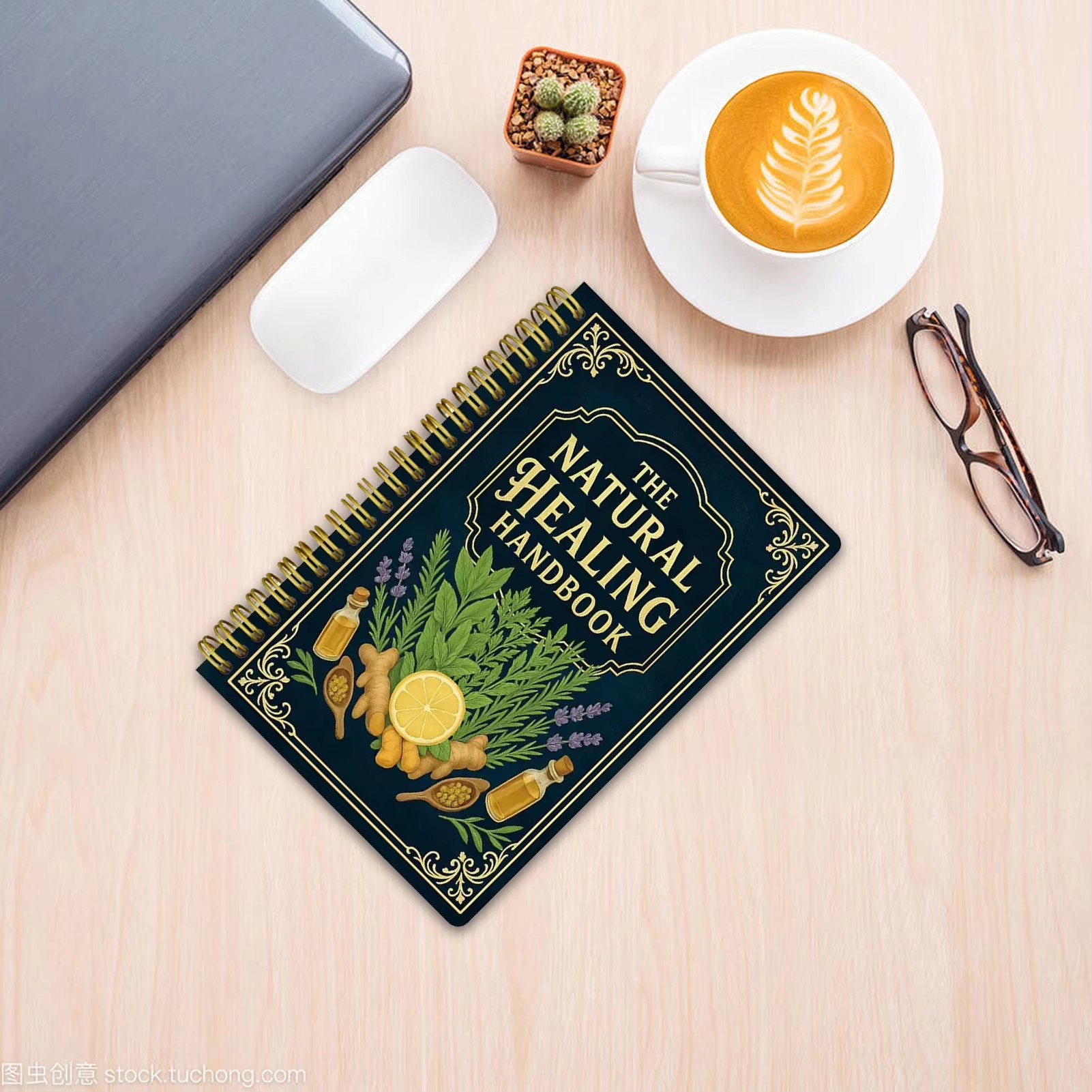 Healing Handbook By Luna Filby - Health Wellness Guide 评论和价格