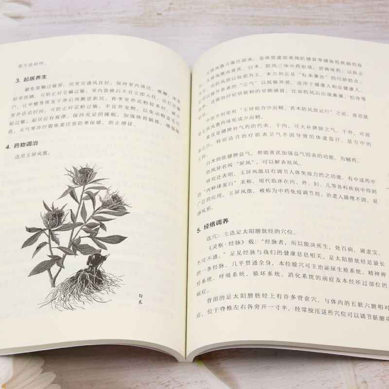 TCM Body Constitution Types Bo - Health Wellness Guide 评论和价格