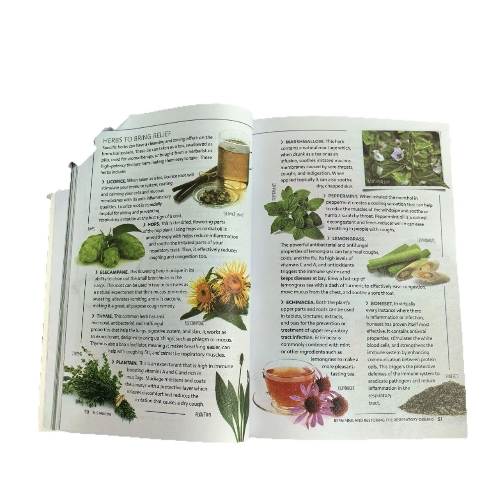 Sustain Me English Paperback B - Health Wellness Guide 评论和价格
