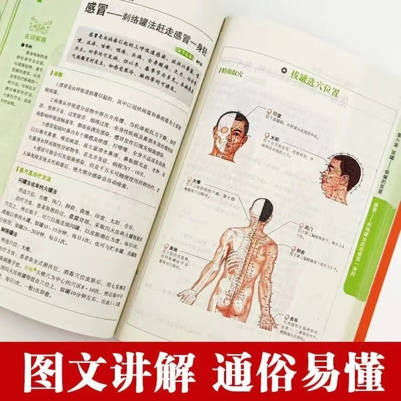 Holistic Health & Wellness Ser - Health Wellness Guide 评论和价格