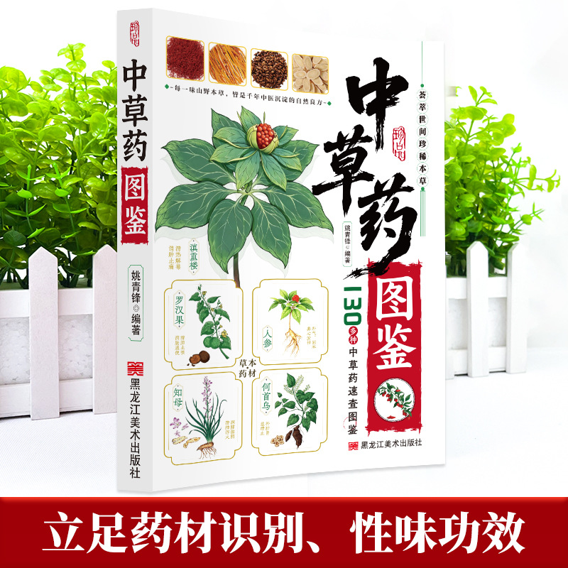 Illustrated Guide  Chinese Her - Health Wellness Guide 评论和价格