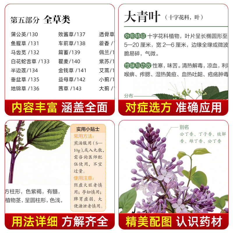 Illustrated Guide  Chinese Her - Health Wellness Guide 评论和价格