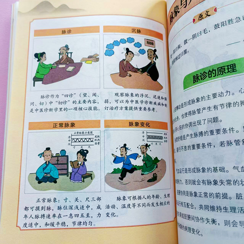 Comic Guide to Huangdi Neijing - Health Wellness Guide 评论和价格